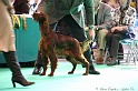 Crufts2011 107